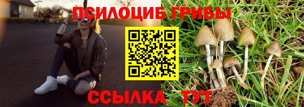 Костомукша  Псилоцибиновые грибы мицелий  Вход с VPN 